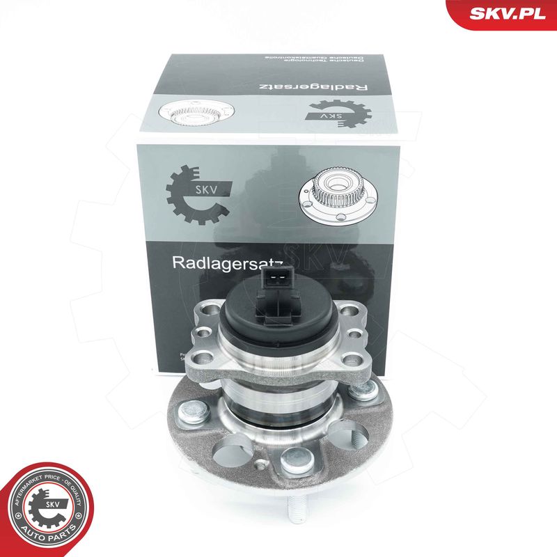 ESEN SKV Wheel Bearing Kit